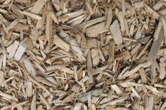 biomass boilers Leighterton